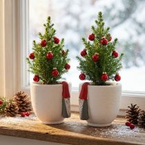 Artikel Weihnachtstopf mit Wichtel aus Beton, Weiß-Rot, Ø 8 cm, H 12,5 cm, 2er-Set