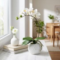 Artikel Künstliche Phalaenopsis Orchidee Creme im Keramiktopf 33 cm