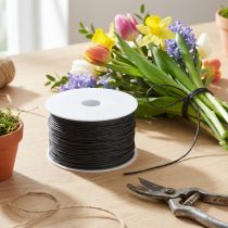 Artikel Papierkordel mit Draht Ø 2 mm 100 m Schwarz für Floristik und Bastelarbeiten