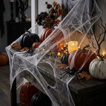 Artikel Halloween Deko Spinnennetz aus Kunststoff 70×100cm Weiß 150g Innen