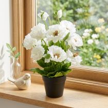 Artikel Künstlicher Mohn im Topf, Weiß, ca. 48 cm, mit Seidenblüten