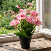 Artikel Orientalischer Mohn Rosa im Topf, Kunstpflanze, ca. 48cm