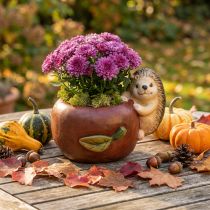 Artikel Keramik Pflanzgefäß Apfelform mit Igel, Ø16 cm, H22 cm, B33 cm, Herbstdeko, rot-braun