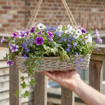 Artikel Korb zum Hängen aus Schilf mit Juteseil, weiß gewaschen, 43,5 cm
