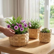 Artikel 3er-Set Pflanzkorb aus Holzspan, Natur, Ø 18/23/29 cm, mit Kunststofffolie