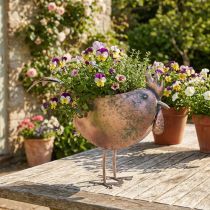 Artikel Blumentopf Huhn aus Metall 51×16×37cm Metallic Rosé für Dekoration