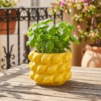 Artikel Blumentopf Keramik Zitronen Gelb Ø18cm H13cm