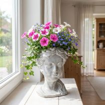 Artikel Pflanzkopf aus Beton in Büstenform, weiß gewaschen, 34cm hoch