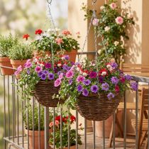 Artikel Blumenampel Braun Ø31cm Hängekorb mit Metallketten 2er-Set