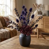 Artikel Wilde Karde Trockenblumen Kardendisteln Violett 55cm 10 Köpfe
