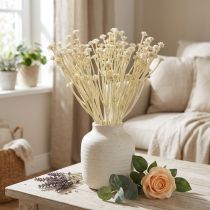 Artikel Künstliches Currykraut mit weißen Blüten, 28 cm, 12 Stiele, Beige