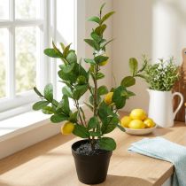 Artikel Künstlicher Zitronenbaum im Kunststofftopf 65cm Gelb-Grün