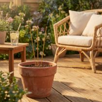 Artikel Citronella Räucherstäbchen Bambus 50 cm Gelb 40 Stück Outdoor