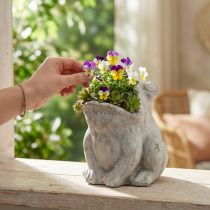 Artikel Frosch Blumentopf Beton Grau H18,5cm Maulöffnung 9x6cm