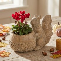 Artikel Übertopf Steinguss Eichhörnchen-Motiv 26×14×19cm für Indoor und Outdoor