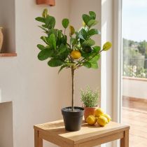 Artikel Kunststoff Zitronenbaum im Topf 57cm gelb-grün für Innenbereich