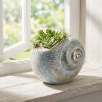 Artikel Dekogefäß Schneckenform aus Polyresin Grau-Gold 21x19x6cm