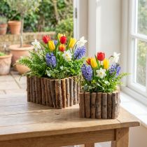 Artikel Pflanzschale Rechteckig Holz Natur Birke 14,5/20cm 2er-Set