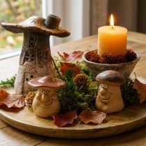 Artikel Herbstdeko-Set mit Igel-Pflanztopf, Pilzen und Herbstmotiven – Dekobox für Innen, Naturmaterialien