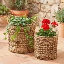 Artikel 2er Set Pflanzkörbe aus Seegras und Wasserhyazinthe Ø31/26 cm naturfarben mit Griffen