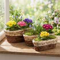 Artikel Pflanzwanne aus Holz mit Folie, oval, 3-farbig, 3er-Set