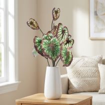 Artikel Begonie künstliche Pflanze, Blattbegonien grün-lila, 62 cm