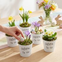 Artikel Metall-Übertopf Mini Eimer Weiß mit „Ostern To Go“ 7cm 6 Stück