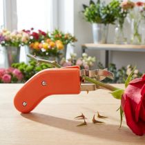 Artikel Rosenentdorner Metall Kunststoff 17cm Orange Rostfrei für Floristik