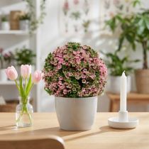 Artikel Dekokugel künstliche Pflanze Rosa-Grün Kunststoff Ø15cm