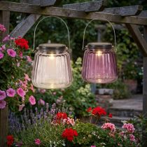 Artikel LED Gartenleuchten Glas Solar Hängend Lila Ø10,5cm 2er-Set