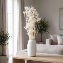 Artikel Trockenblumen Nigella Bund 70cm Weiß Dekoration