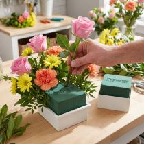 Artikel OASIS® Table Design Neo & Viva Steckschaum 6 x 5,5 cm Grün Weiß 24 Stück