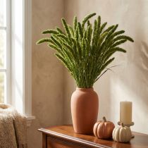 Artikel Trockenblumen Borstenhirse Grün 75cm 200g