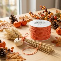 Artikel Papierkordel mit Drahtkern Ø2mm 100m Orange für Dekoration und Basteln