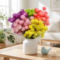 Artikel Getrocknete Strohblumen gefärbt, H42cm, verschiedene Farben