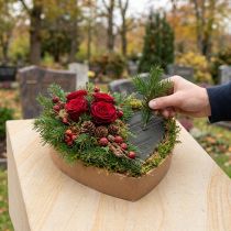 Artikel OASIS® Renewal® Floral Foam Biolit® Steckschaumherz 26 x 24 x 5 cm, 2 Stück