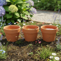 Artikel Aquasafe Wasserspeicher mit Insektentränke 12 cm 3er Set für Garten und Balkon