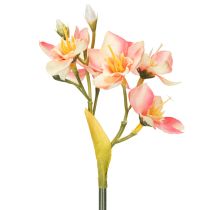 Artikel Künstlicher Deko-Blütenzweig Inkalilie 33 cm Rosa 6 Stück
