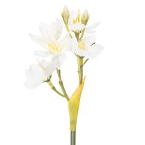 Artikel Narzissenzweig künstlich 33 cm Weiß-Gelb 6er-Set für Wohn- und Tischdekoration