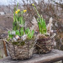 Frühlingsdeko, Vögeln am Draht, künstlicher Vogel Braun, Weiß H3cm 12St
