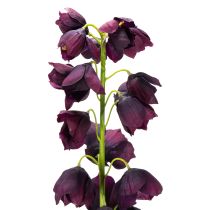 Artikel Fritillaria künstliche Blume, 78 cm, Lila, für Wohnraum- und Tischdekoration