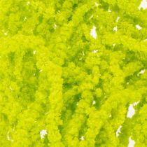 Artikel Fuchsschwanz Trockenblumen Amaranth gefärbt Hellgrün 100 cm 5 Stiele