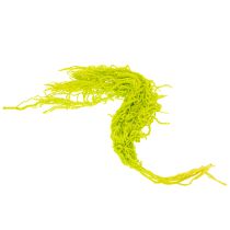 Artikel Fuchsschwanz Trockenblumen Amaranth gefärbt Hellgrün 100 cm 5 Stiele