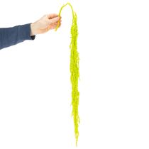 Artikel Fuchsschwanz Trockenblumen gefärbt für besondere Wohnraum Deko und einzigartige Akzente 100cm 5St