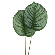 Artikel Calathea Künstlich Korbmarante Kunstpflanzen Grün 51cm