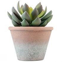 Sukkulente im Topf Echeveria künstlich Grün Vintage Ø15cm H16cm