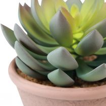 Artikel Sukkulente im Topf Echeveria künstlich Grün Vintage Ø15cm H16cm