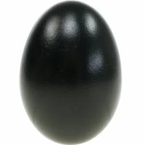 Artikel Schwarze Gänseeier Ausgeblasen Ø 5,5-6cm 8-9cm 10 Stück Dekorationseier