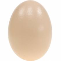 Artikel Gänseeier Creme Ausgeblasene Eier Osterdeko 10 St