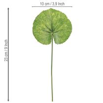 Artikel Galax Urceolata Künstliche Blätter Dunkelgrün Ø10cm L23cm 12 Stück